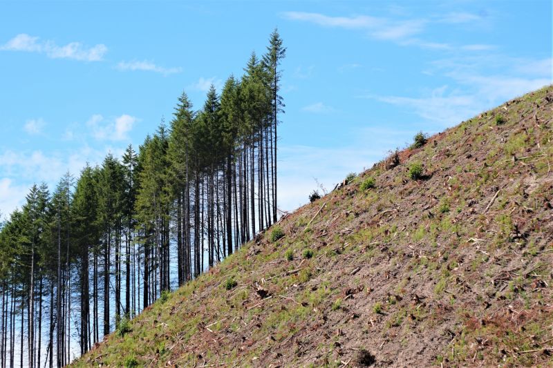 land grading