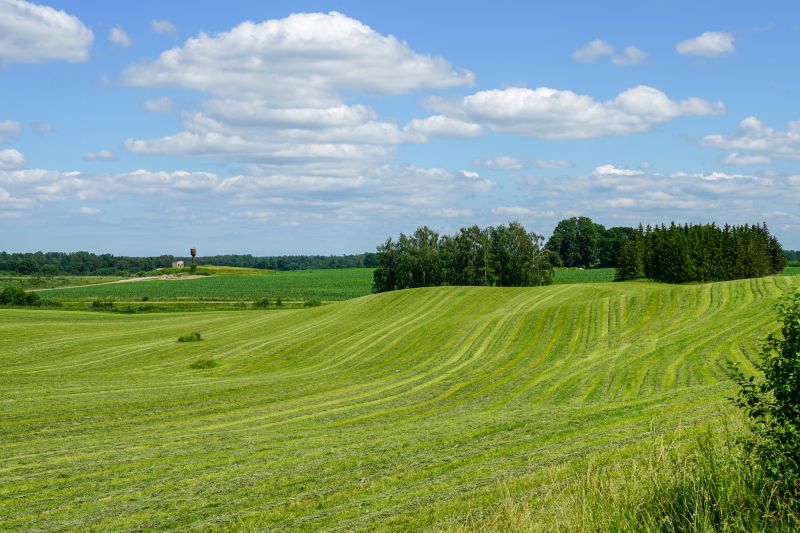 land grading