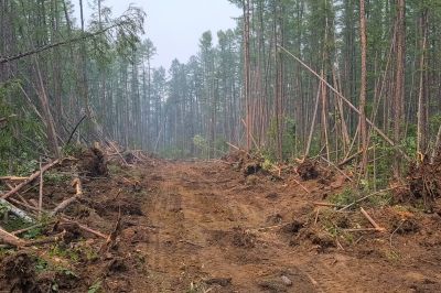 Commercial Land Clearing in Marietta, GA